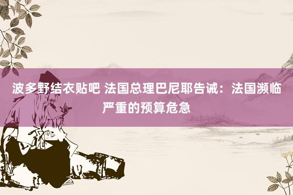 波多野结衣贴吧 法国总理巴尼耶告诫：法国濒临严重的预算危急