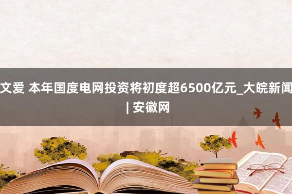 文爱 本年国度电网投资将初度超6500亿元_大皖新闻 | 安徽网